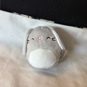 💅🏻FREE WITH PURCHASE mini squishmallow